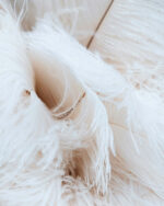 Feather Filled Cushions scaled