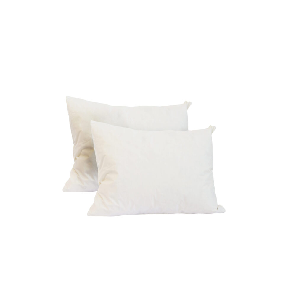 Feather Filled Rectangular Cushion 41x30 Front x2 scaled