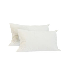 Feather Filled Rectangular Cushion 51x30 Front x2 scaled